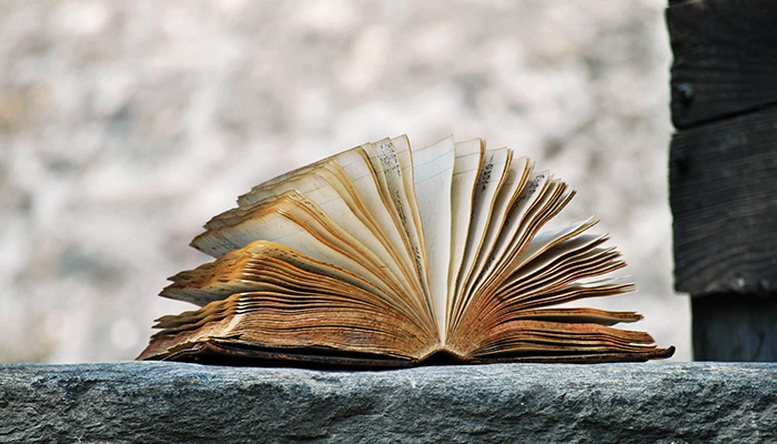 ادبیات کلاسیک ایران: چرا این گنجینه‌ها هنوز زنده‌اند و نفس می‌کشند؟