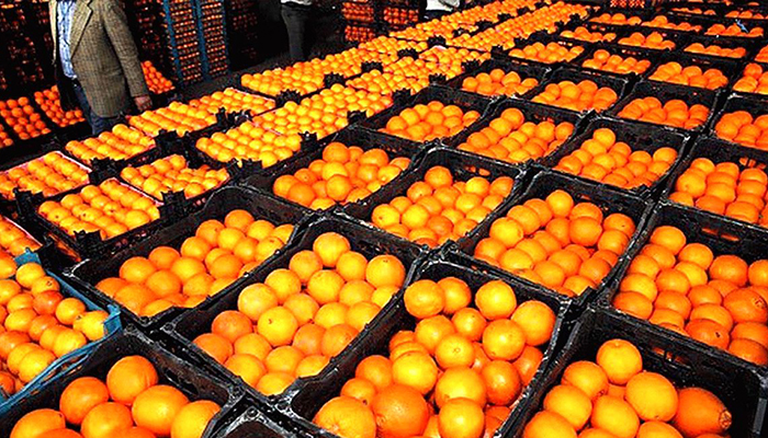 جزئیات توزیع میوه شب عید