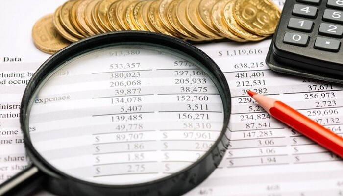 اجرای حسابرسی سیستمی برای شفافیت اقتصادی و کاهش فرار مالیاتی