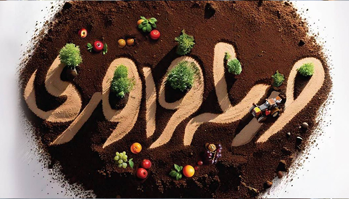 دونقطه: رقابتی تازه‌نفس برای ترویج زبان و ادبیات فارسی در تلویزیون