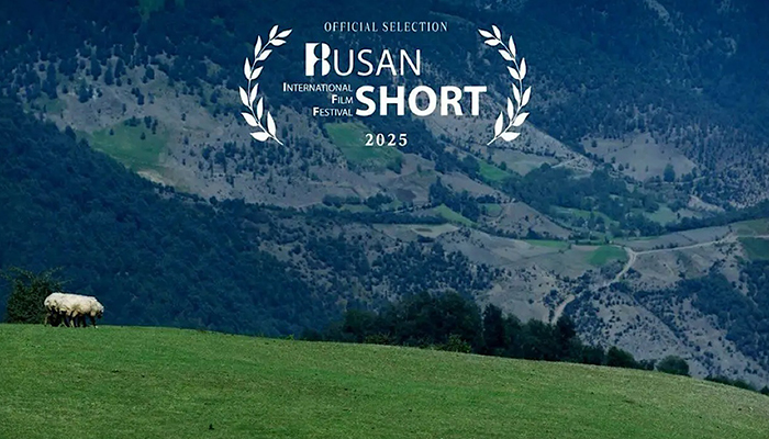 فیلم گوسفند به جشنواره بوسان کره جنوبی راه یافت