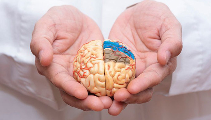 علائم و نشانههای بیماری آلزایمر