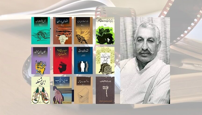 چگونه آثار نادر ابراهیمی را بخوانیم؟