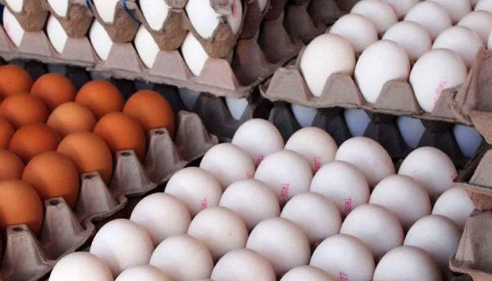 اصلاح قیمت تخم‌مرغ با پیشنهاد حدود 30 درصد افزایش