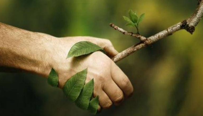 حفظ محیط زیست: وظیفه ملی و حق همگانی در قانون اساسی