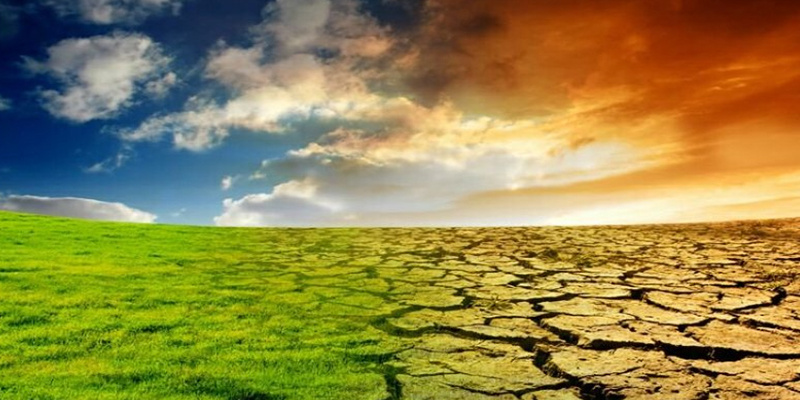 مبارزه با بیابان زایی؛ فرصت‌های اقتصادی در احیای سرزمین