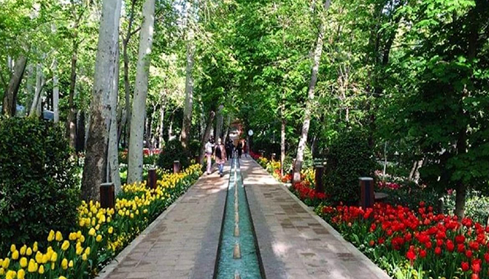 جشنواره ملی ایران ماهر چیست؟