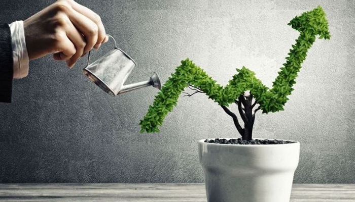 رشد کسب و کار چیست؟ آشنایی با عوامل و انواع استراتژیهای رشد