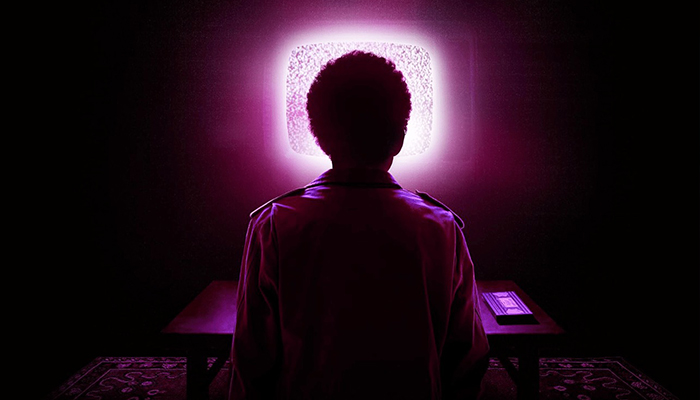 شناسنامه و معرفی کلی فیلم I Saw the TV Glow