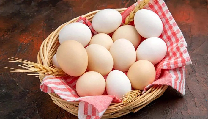 25 درصد تولید تخم مرغ مازاد بر نیاز کشور است