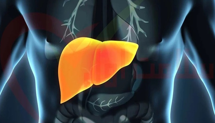 مدیریت کبد چرب: بهبود سلامت کبد در 40 روز 