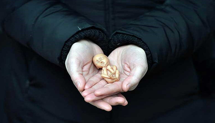 آیا حکم سقط جنین پیش از دمیده شدن روح، در بین تمام مراجع تقلید شیعه یکسان است؟