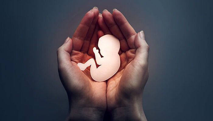 حکم سقط جنین پیش از دمیده شدن روح