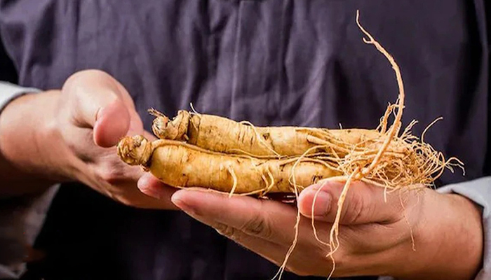 جینسینگ چیست؟