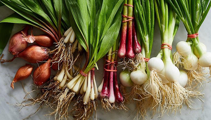 کاشت سبزی خوردن: تره و پیازچه