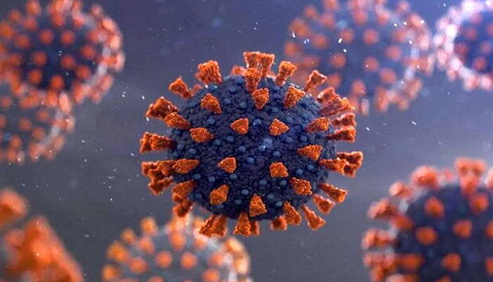 کرونای تیغی چیست؟ کالبدشکافی علمی «پروتئینهای اسپایک»؛ سلاح اصلی ویروس برای فتح بدن انسان