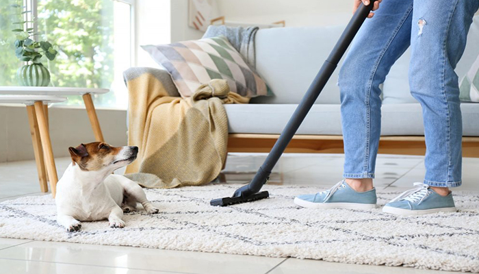 5 ترفند برای پاکسازی موی حیوانات خانگی از فرش و مبلمان