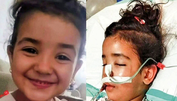 حکم قصاص نفس نامادری آوا چه زمانی اجرا شد؟