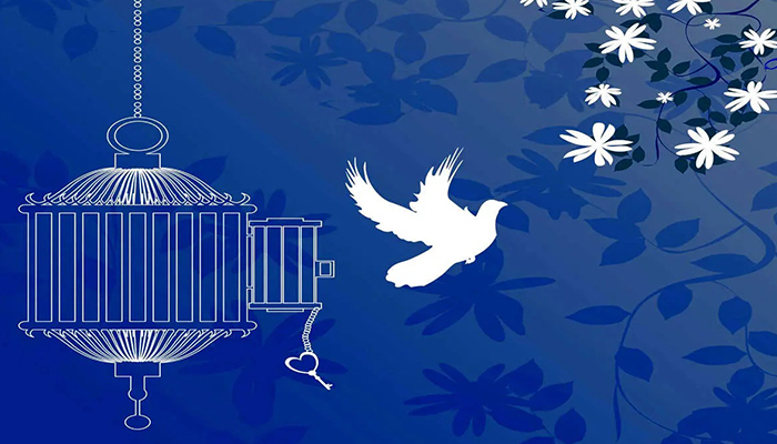 هدیه روز مادر از سوی بانک مسکن؛ آزادی ۳ بانوی زندانی جرایم غیرعمد و بازگشت امید به خانه + شماره حساب