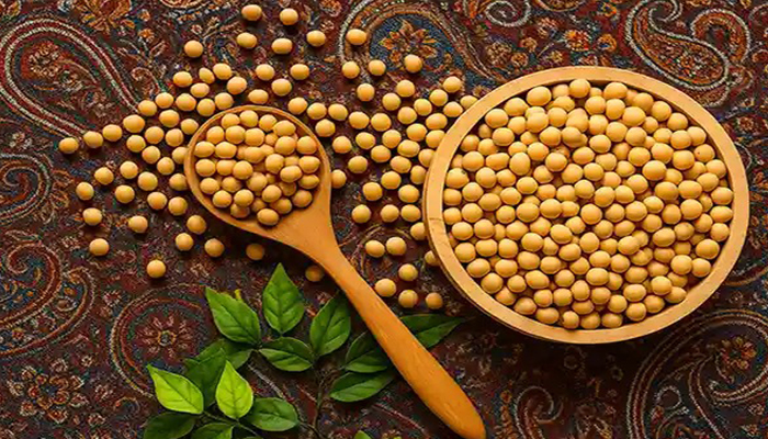 تفاوت سویا و آجیل سویا چیست؟ بررسی کامل خواص و کاربردها