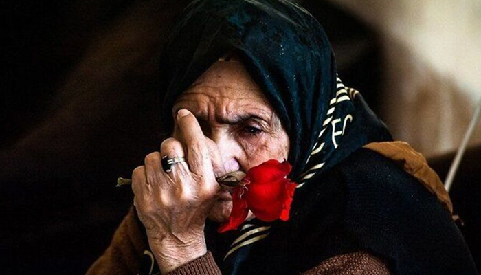 چند درصد سالمندان تهرانی تنها زندگی میکنند؟