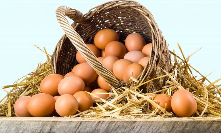 قیمت مرغ و تخم مرغ امروز 31خرداد 1405؛ هر شانه تخم مرغ چند شد؟