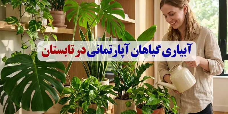 آبیاری گیاهان آپارتمانی در تابستان؛ راهنمای کامل نگهداری گل‌ها در فصل گرما
