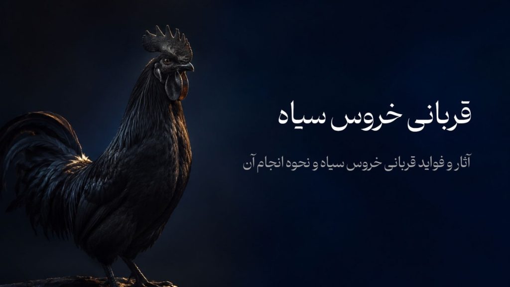 آثار و فواید قربانی خروس سیاه و نحوه انجام آن