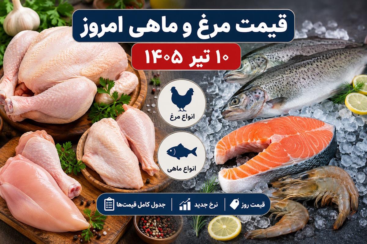 چگونه میتوان از قیمت مرغ دولتی اطلاع یافت؟