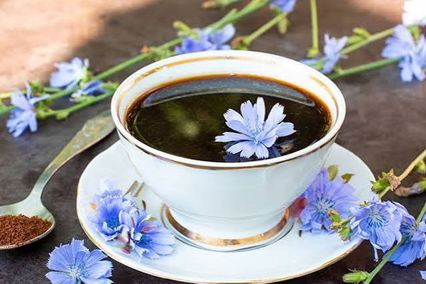 دمنوش کاسنی و عرق کاسنی