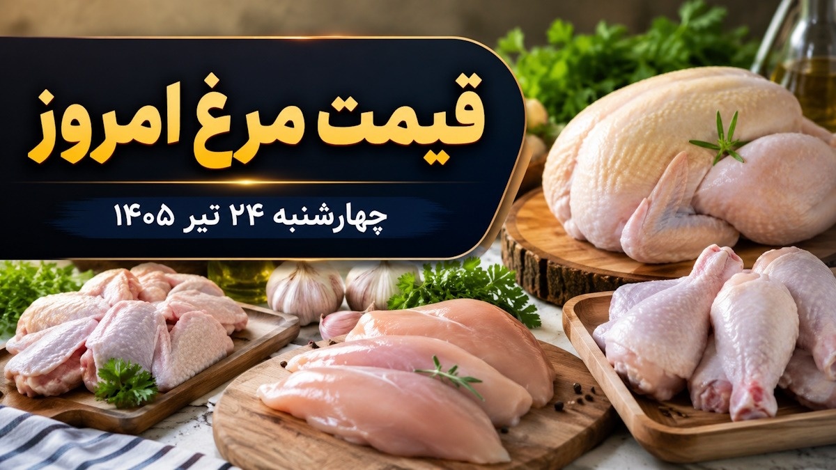 جدول قیمت مرغ امروز ۲۴ تیر ۱۴۰۵