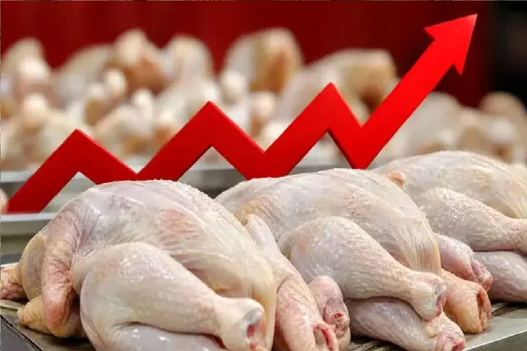 قیمت مرغ، ماهی و تخم مرغ امروز پنجشنبه 15 مرداد 1405 + جدول قیمت
