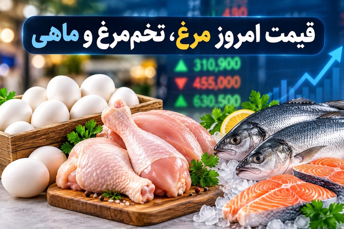 قیمت مرغ، تخممرغ و ماهی امروز شنبه ۲۸ شهریور 1405؛ تحلیل وضعیت بازار پروتئین